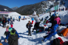 dsc_4030_800x536