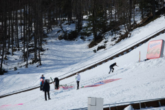 Skoki - področno tekmovanje